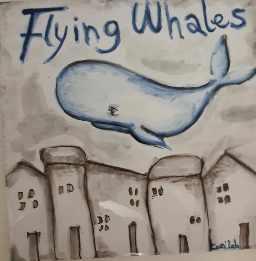 Flying Whales Apartamento Syracuse