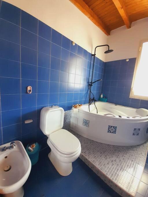 Apartamento Flying Whales
